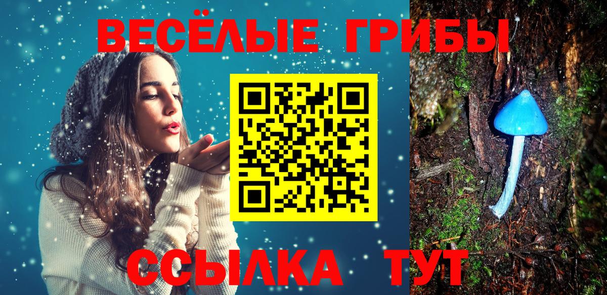 Псилоцибиновые грибы Psilocybe Усть-Илимск