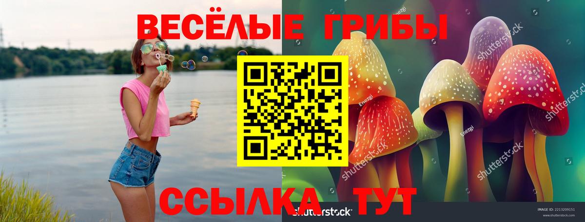 Усть-Илимск  Галлюциногенные грибы GOLDEN TEACHER  Вход с VPN  хочу наркоту  Галлюциногенные грибы Psilocybine cubensis 